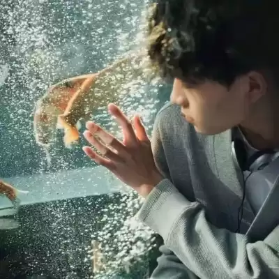 闻淑颖
